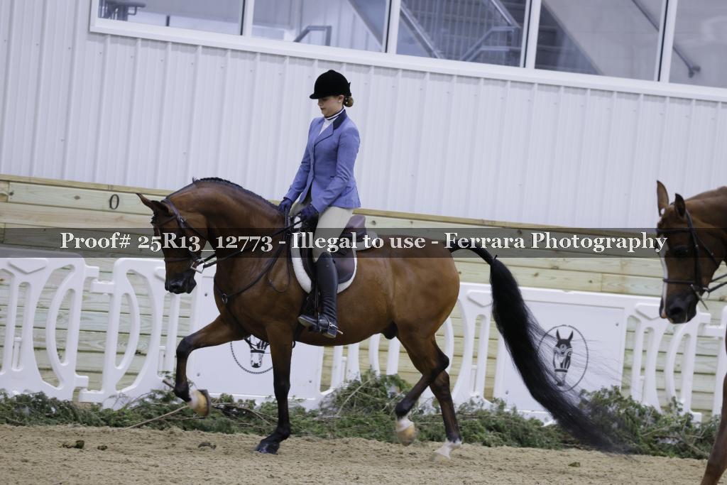 Proof Number 25R13_12773