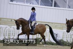 25R13_12773 thumbnail