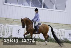 25R13_12774 thumbnail