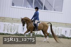 25R13_12775 thumbnail