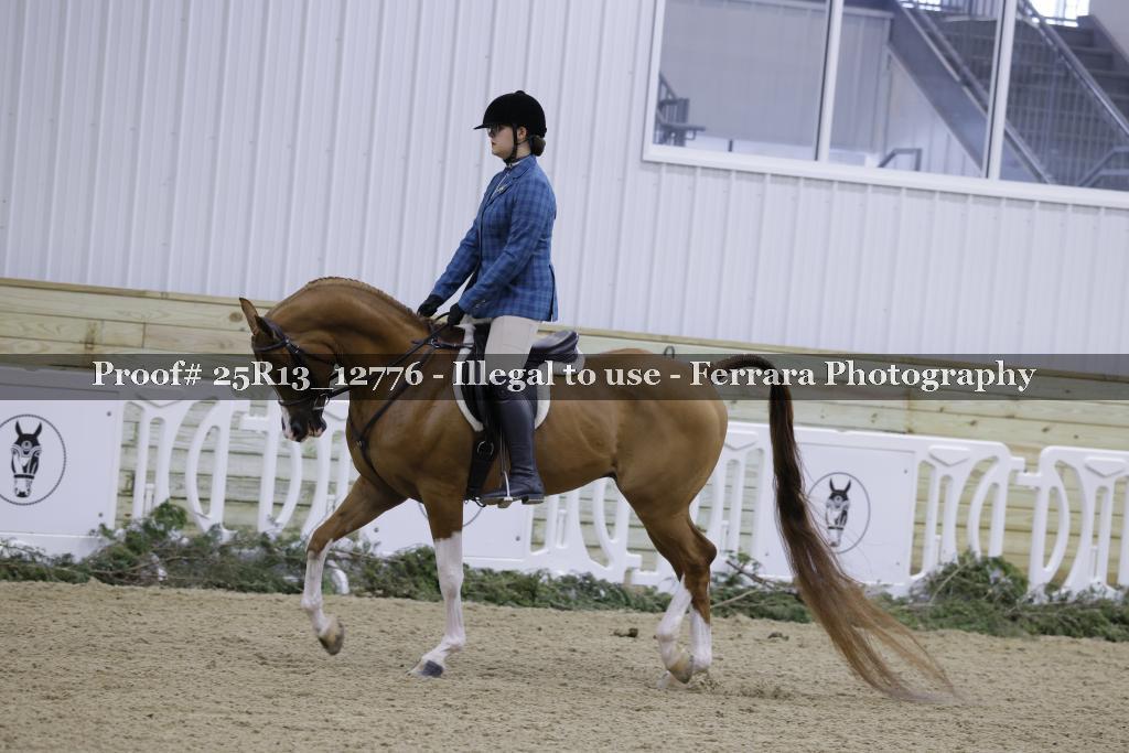 Proof Number 25R13_12776