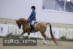 25R13_12776 thumbnail