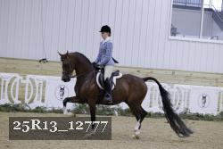 25R13_12777 thumbnail