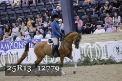 25R13_12779 thumbnail