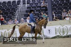 25R13_12780 thumbnail