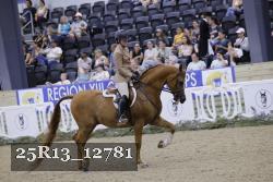 25R13_12781 thumbnail