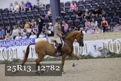 25R13_12782 thumbnail
