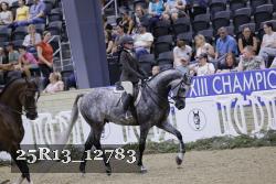 25R13_12783 thumbnail