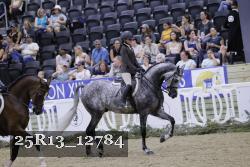 25R13_12784 thumbnail