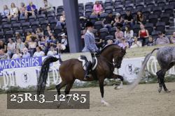 25R13_12785 thumbnail