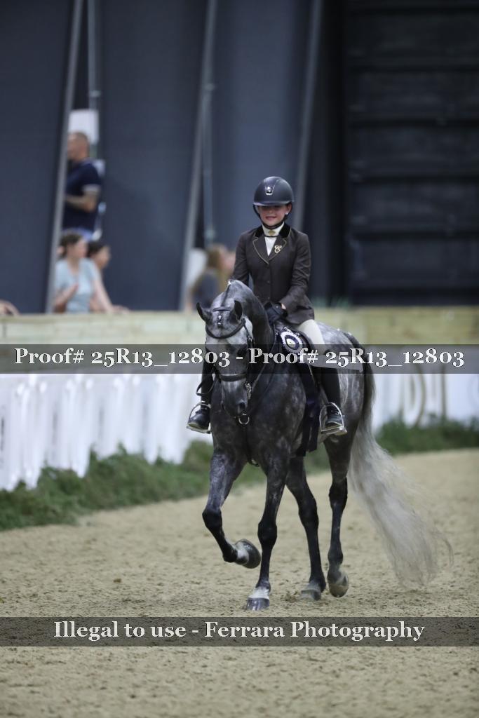 Proof Number 25R13_12803