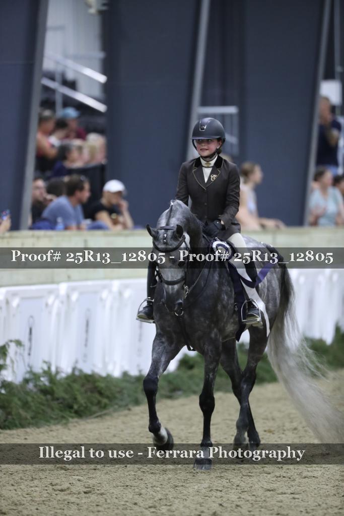 Proof Number 25R13_12805