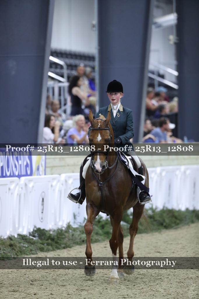 Proof Number 25R13_12808