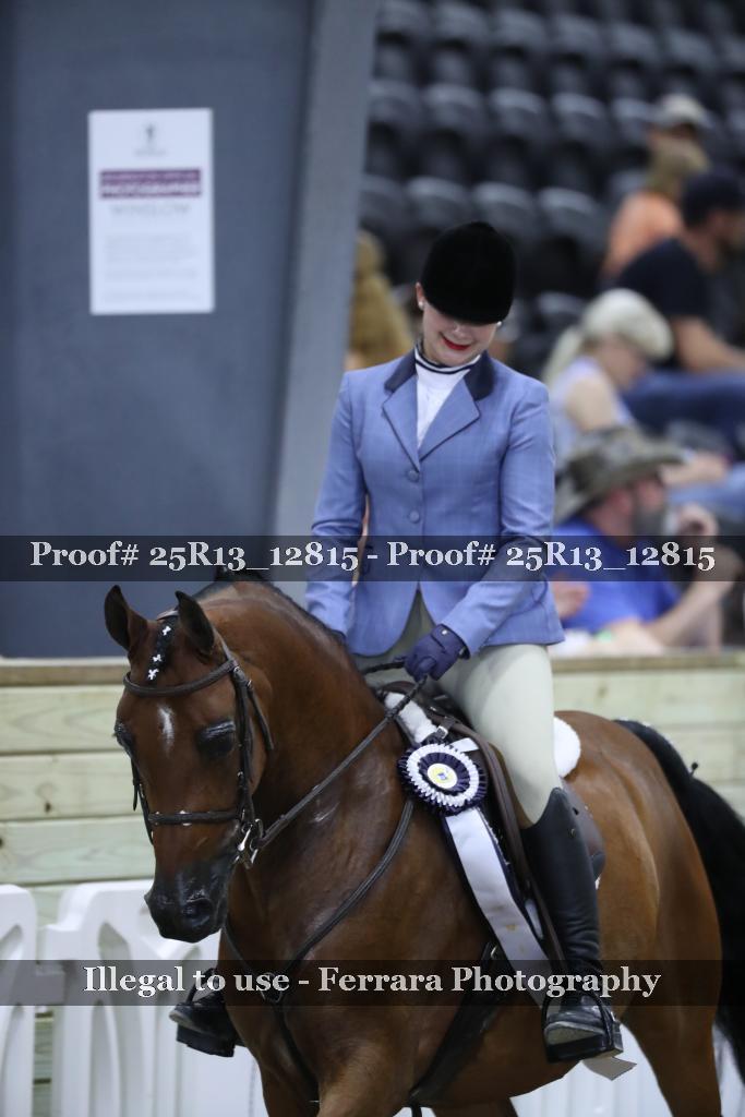 Proof Number 25R13_12815