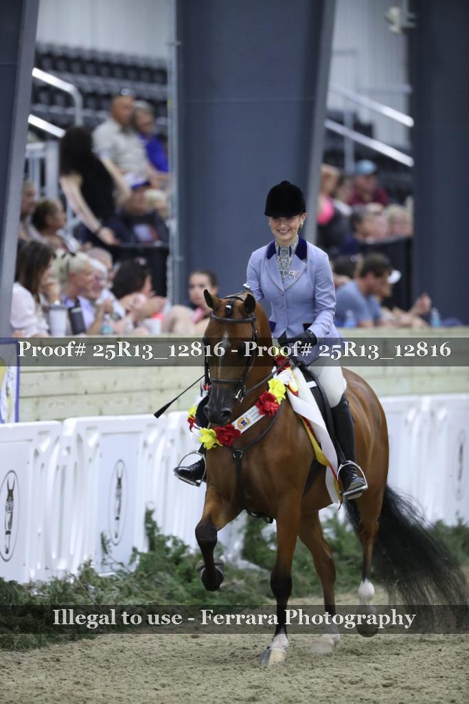 Proof Number 25R13_12816