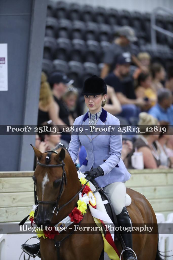 Proof Number 25R13_12819