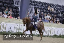 25R13_12826 thumbnail