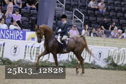 25R13_12828 thumbnail