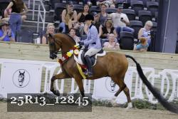 25R13_12845 thumbnail