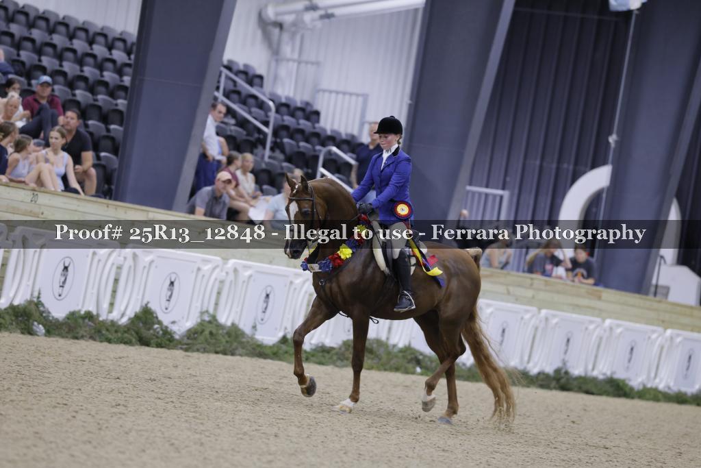 Proof Number 25R13_12848