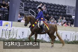 25R13_12851 thumbnail