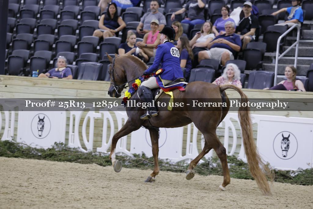 Proof Number 25R13_12856