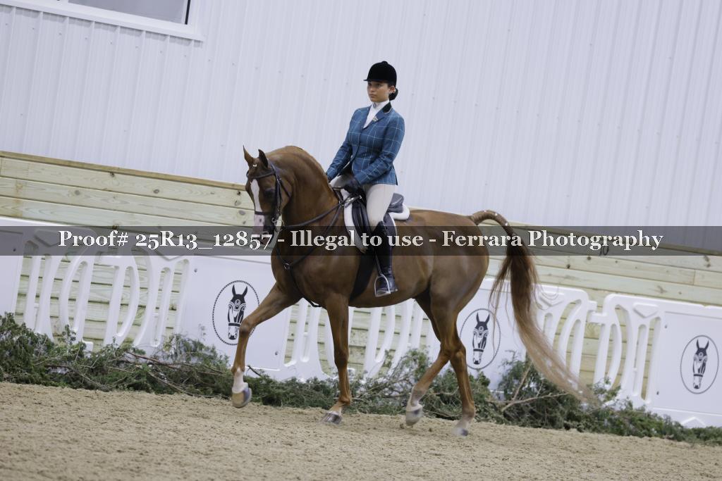 Proof Number 25R13_12857