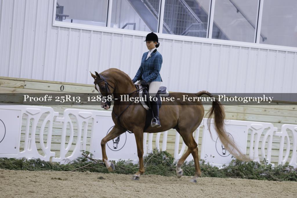Proof Number 25R13_12858