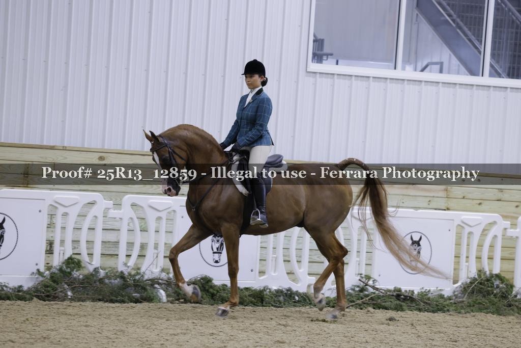 Proof Number 25R13_12859