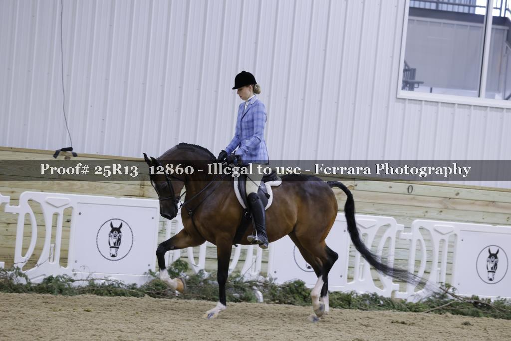 Proof Number 25R13_12860
