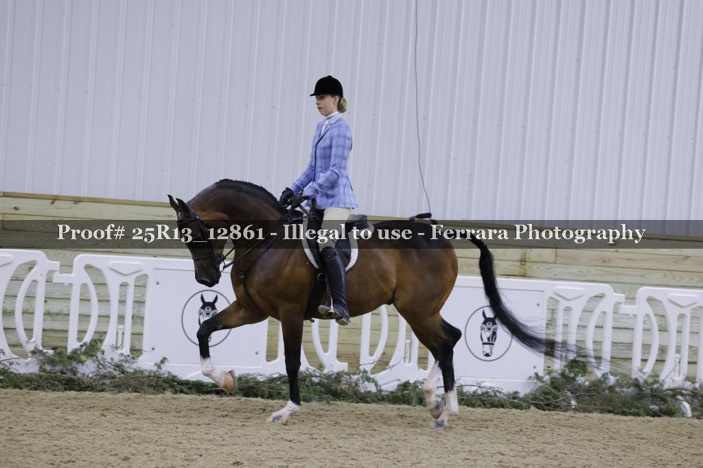 Proof Number 25R13_12861