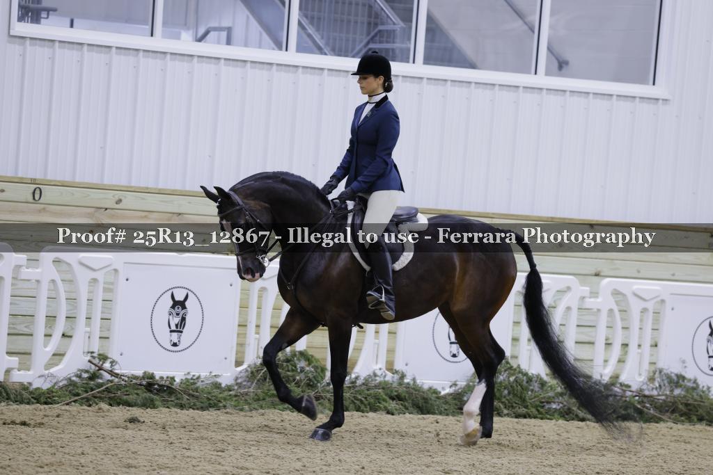 Proof Number 25R13_12867