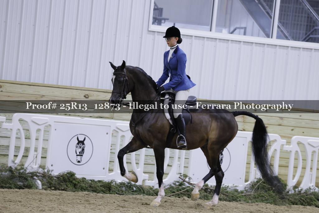 Proof Number 25R13_12873