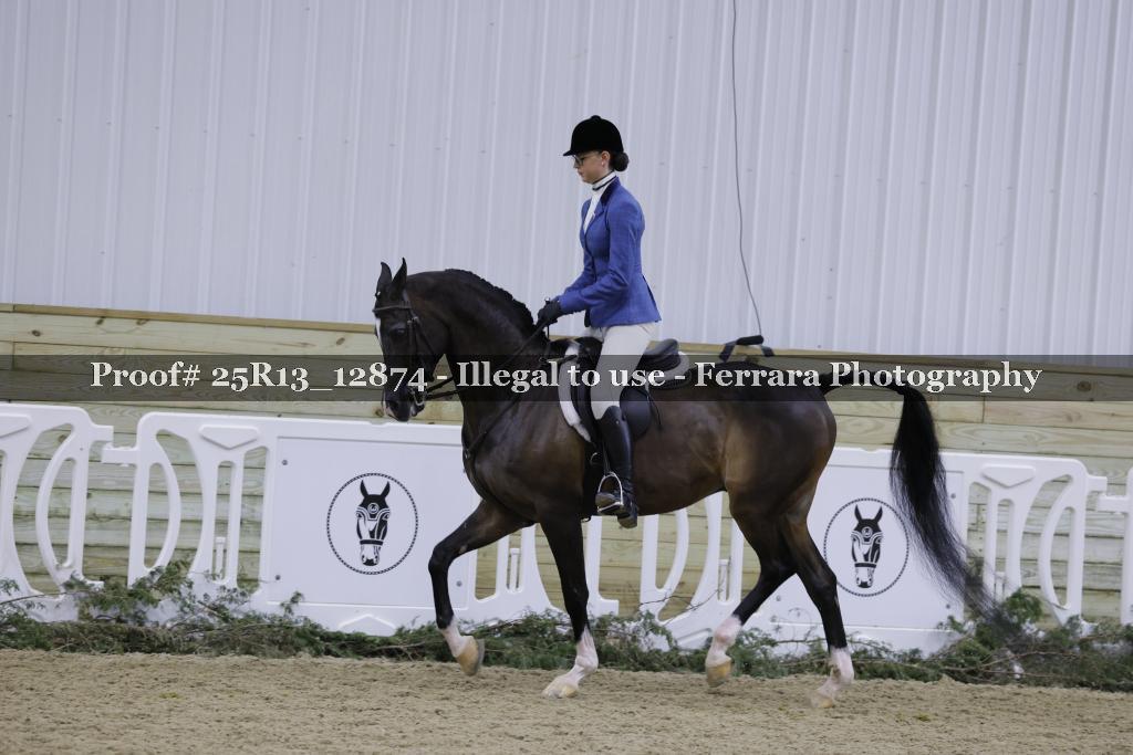 Proof Number 25R13_12874