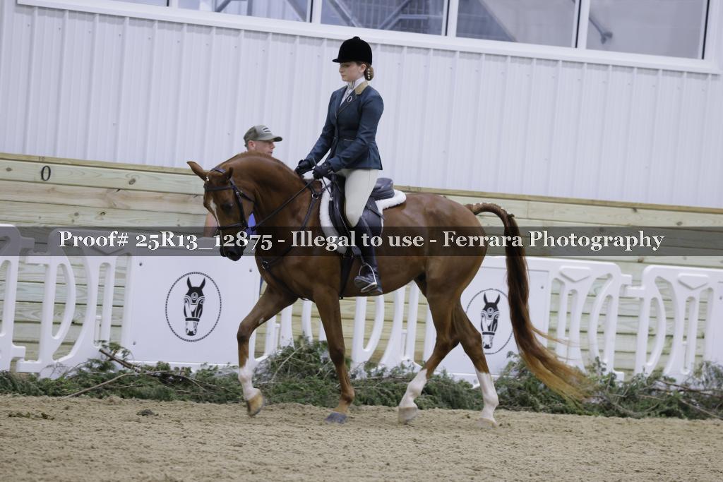 Proof Number 25R13_12875