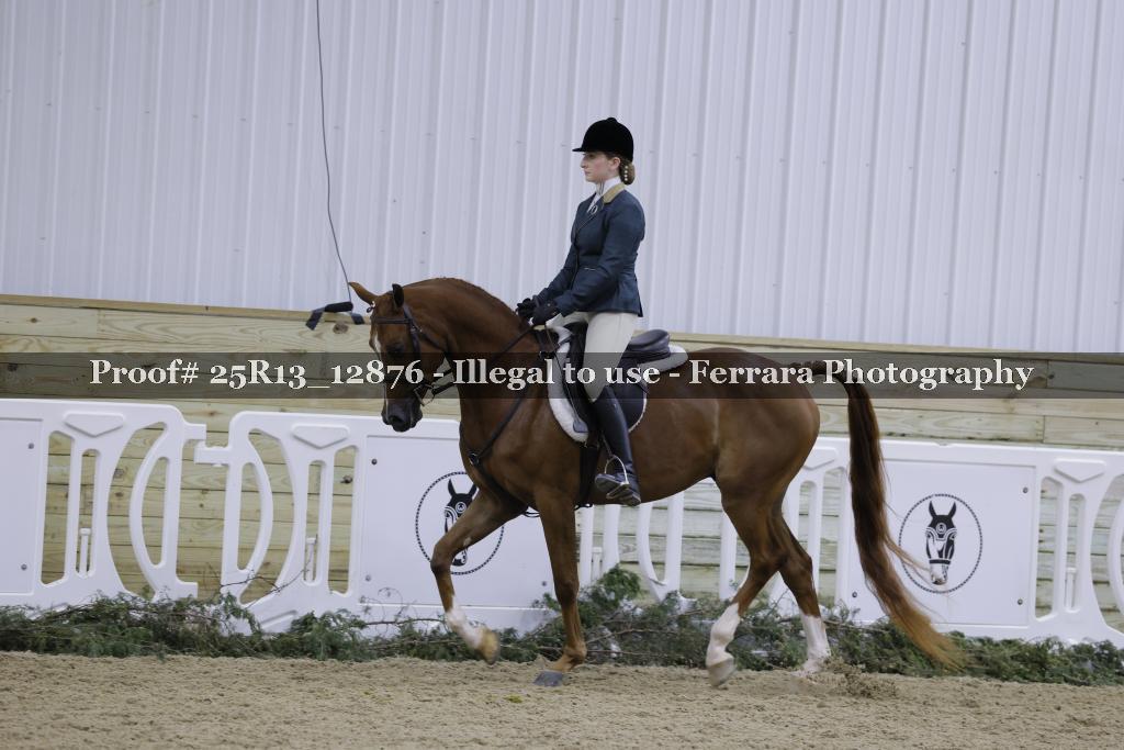 Proof Number 25R13_12876