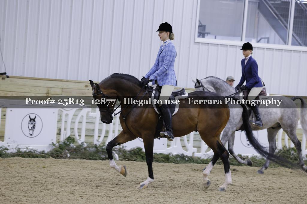 Proof Number 25R13_12877