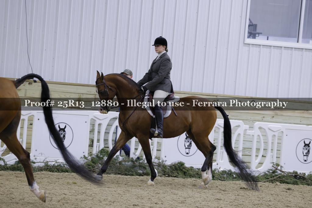 Proof Number 25R13_12880