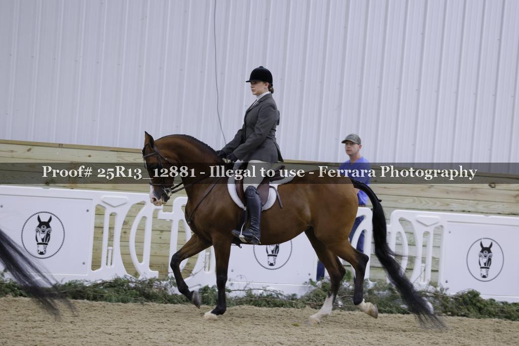 Proof Number 25R13_12881