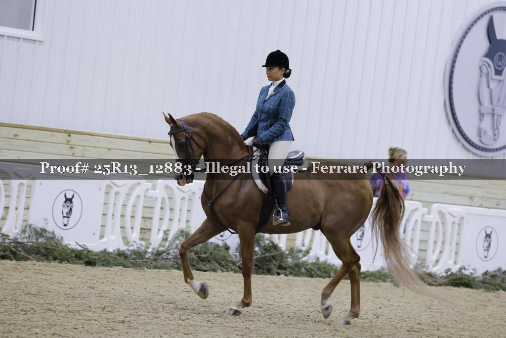 Proof Number 25R13_12883