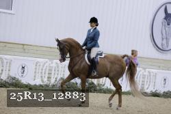 25R13_12883 thumbnail