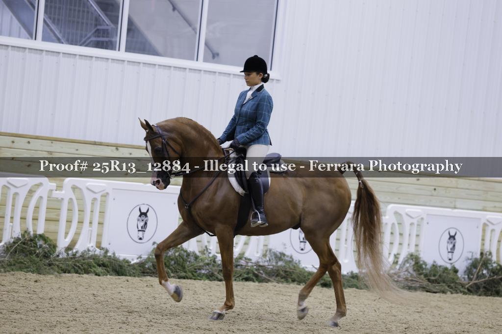 Proof Number 25R13_12884
