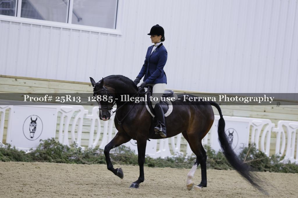 Proof Number 25R13_12885