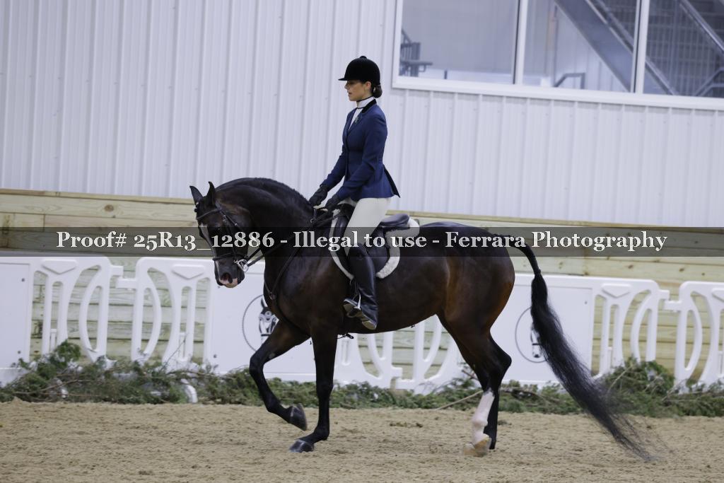 Proof Number 25R13_12886
