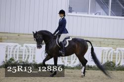 25R13_12886 thumbnail
