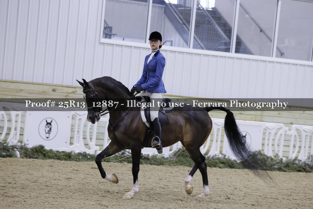 Proof Number 25R13_12887