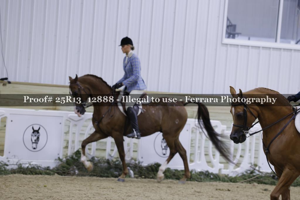 Proof Number 25R13_12888