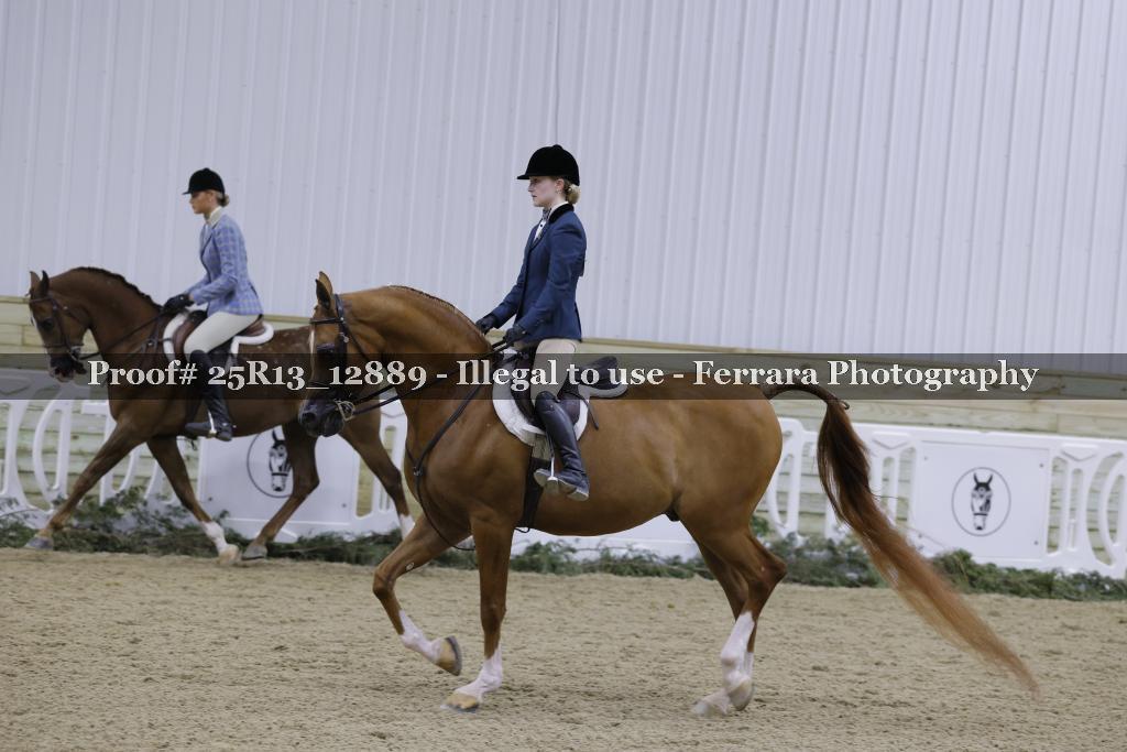 Proof Number 25R13_12889