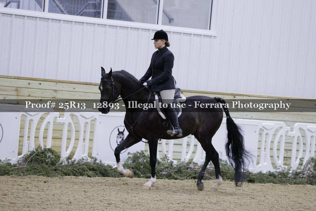 Proof Number 25R13_12893