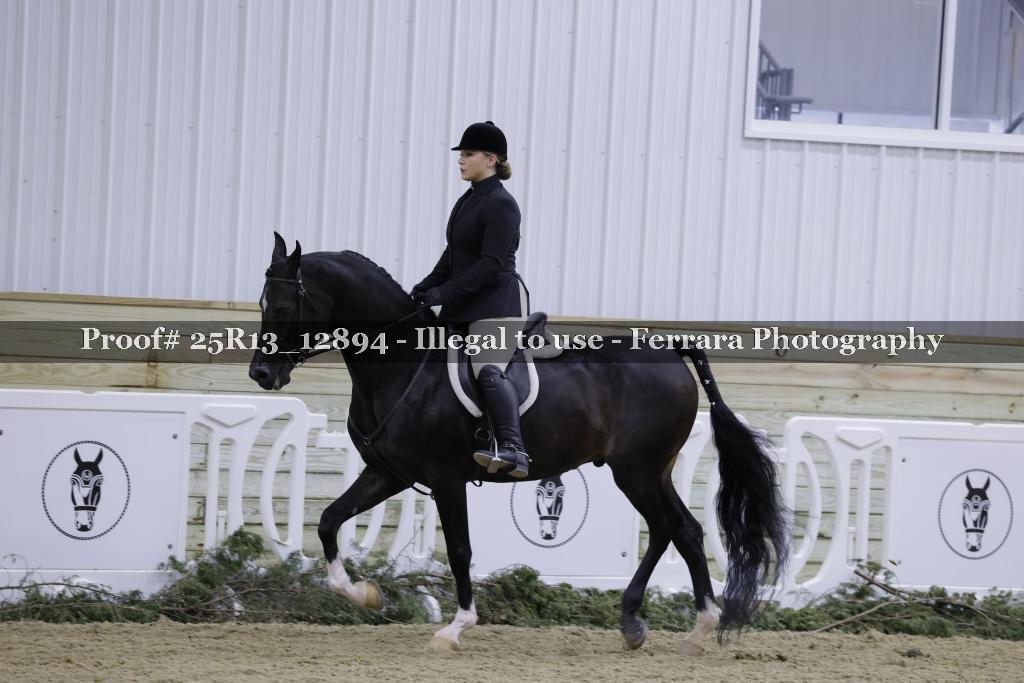 Proof Number 25R13_12894